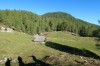 Planina Polšak in prvi cilj Križevnik